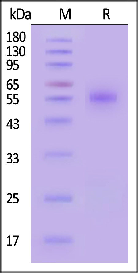 PVG-M82F3-sds