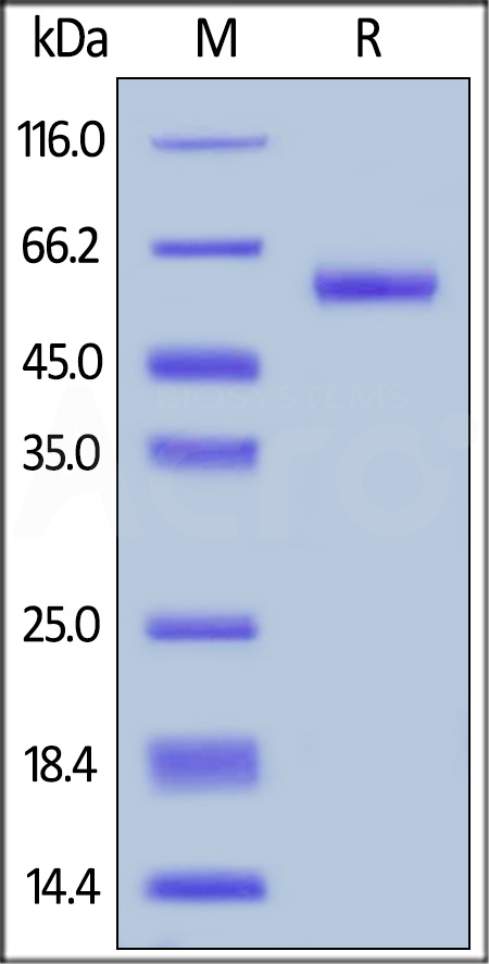 RAL-H82F9-sds