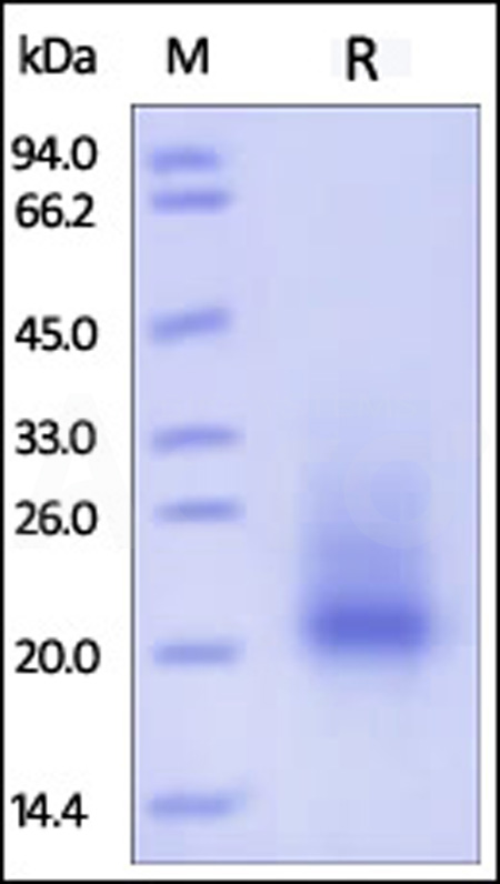 SCF-M5228-sds