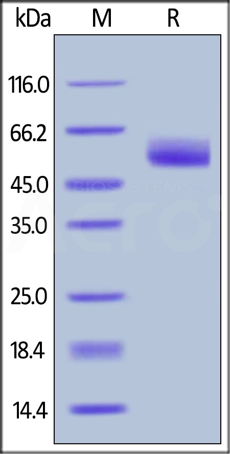 SE3-H5221-sds