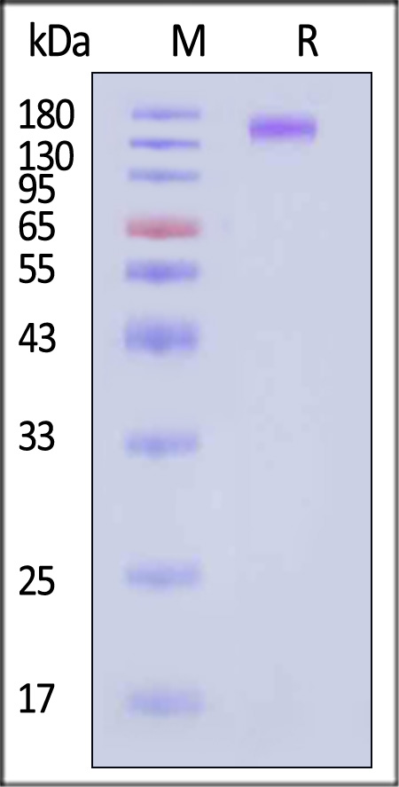 SE6-H82E3-sds