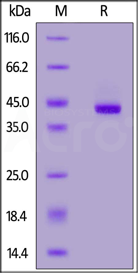 SE9-H55H3-sds