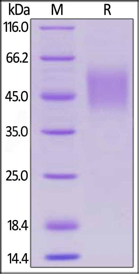 SL1-H82E3-sds