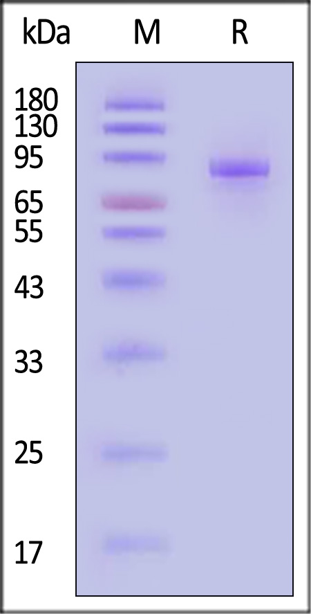 SL6-H82E3-sds