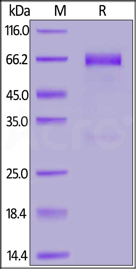 SL7-H5256-sds