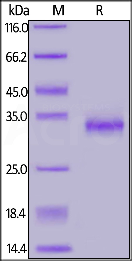 SPD-C52H5-sds