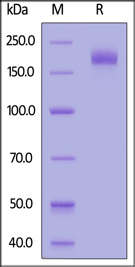 SPN-B5283-sds