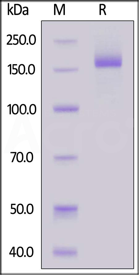 SPN-C82Ec-sds