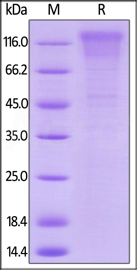 TAE-H82E3-sds