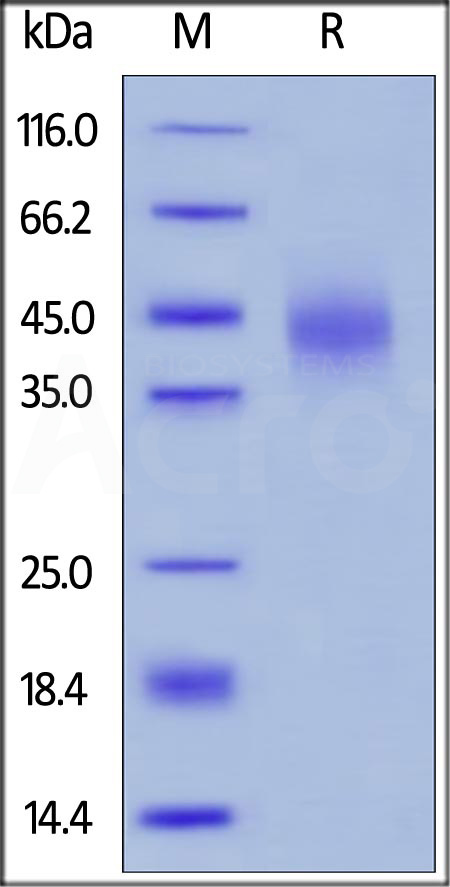 TFI-H5226-sds