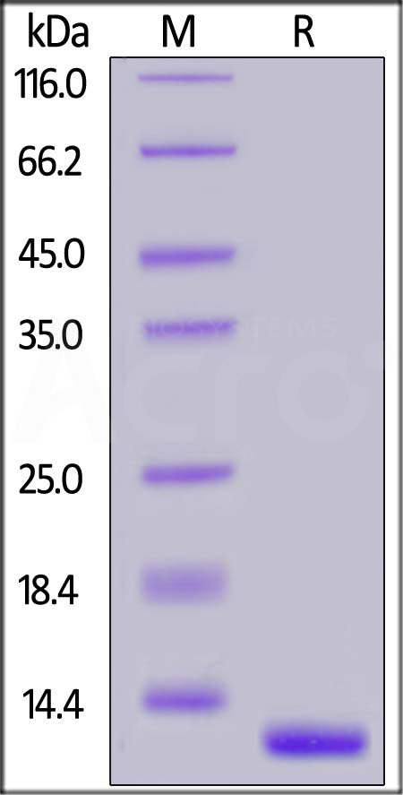 TG2-H4215-sds