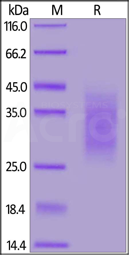 TG2-H82E4-sds