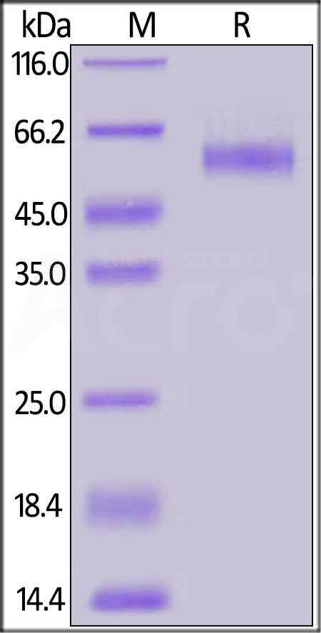 TG2-H82F6-sds