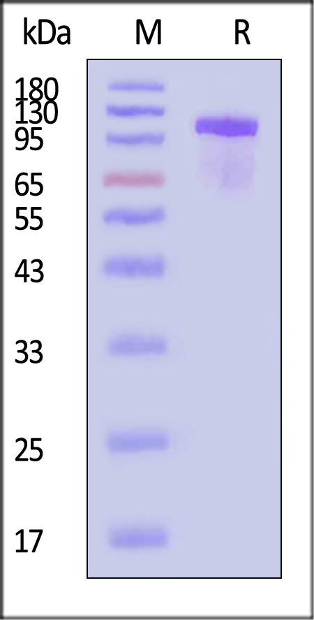 TI2-H52H3-sds