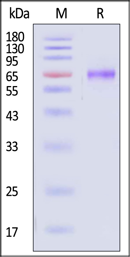 TI3-H82F8-sds