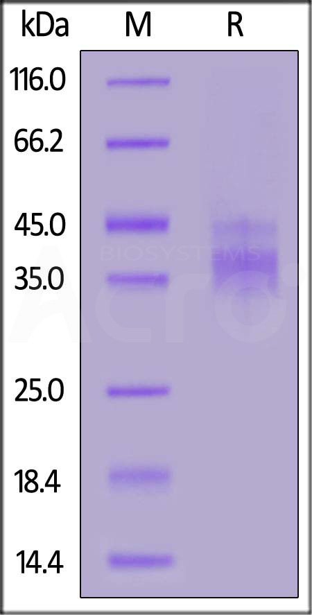 TIT-H82E6-sds