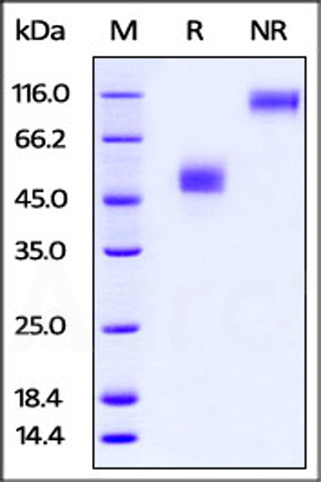 TIT-R5259-sds