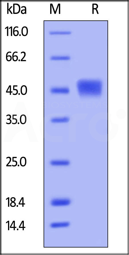 TM3-H5229-sds