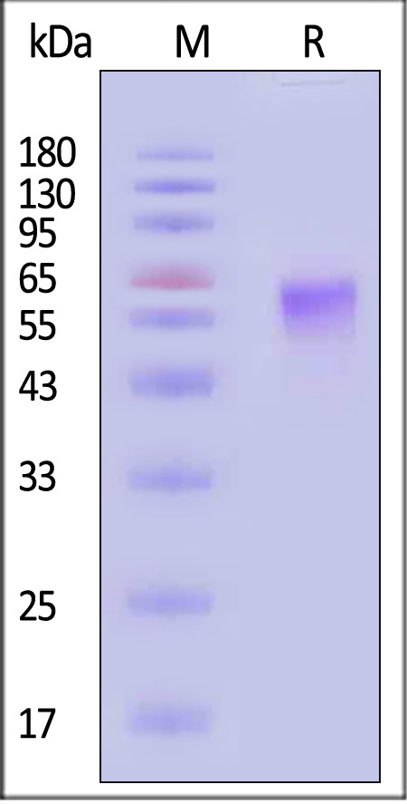 TM3-H525b-sds