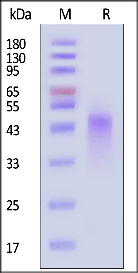 TN2-H82E3-sds