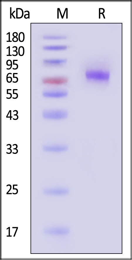 TN2-H82F3-sds