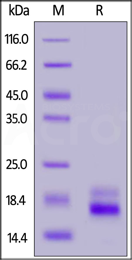 TR2-H5229-sds