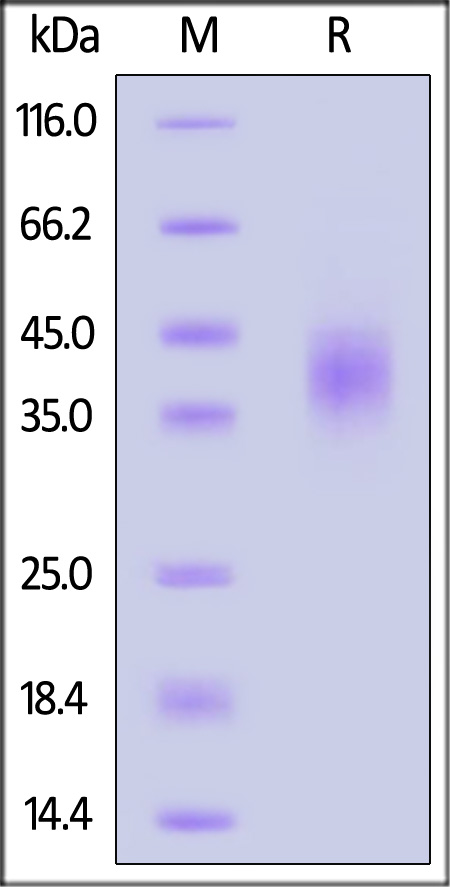 TR2-H82Ea-sds