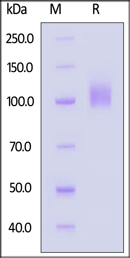 TRC-H5256-sds