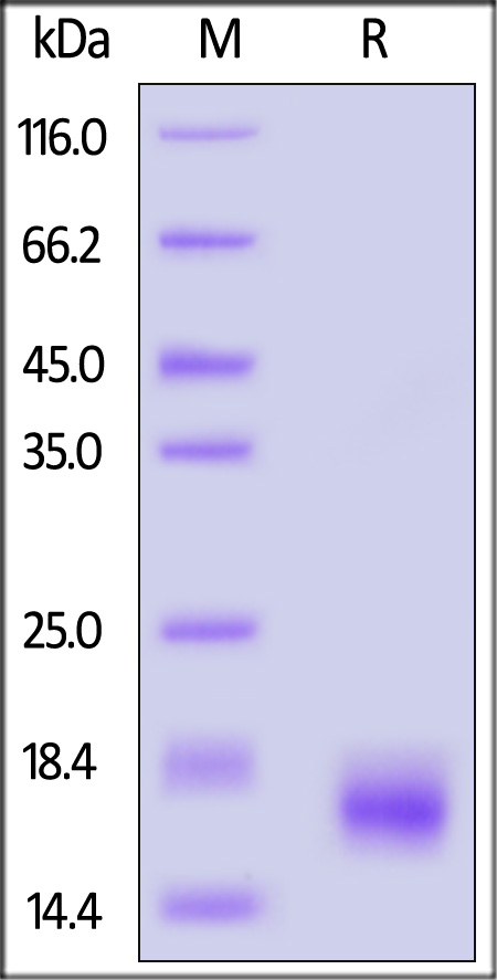 TS8-C5248-sds