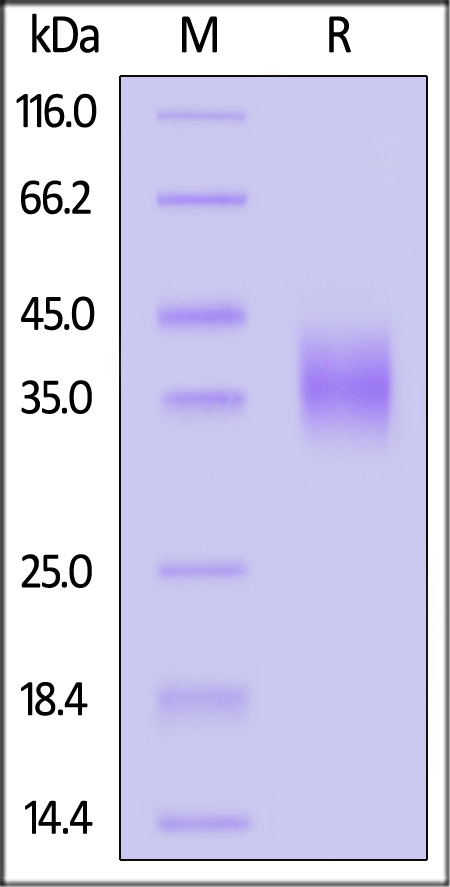 UPR-H52H4-sds