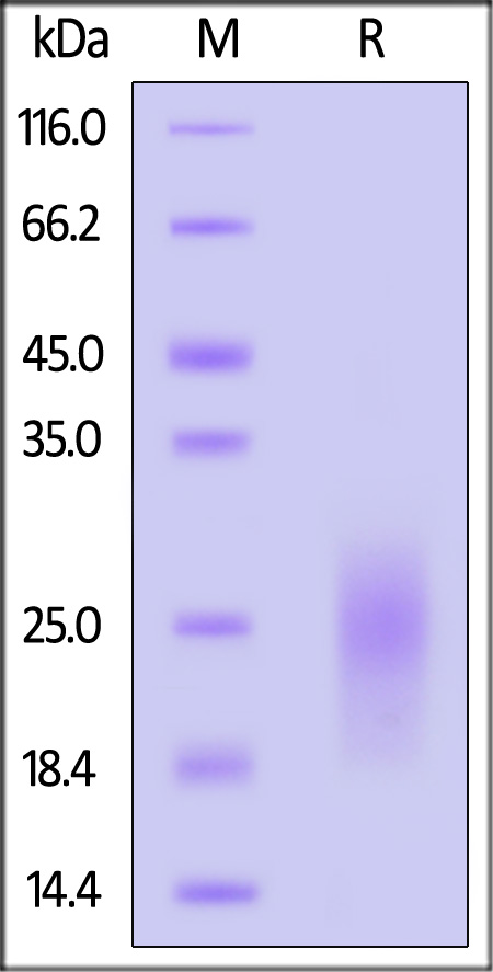 UPR-H52H6-sds