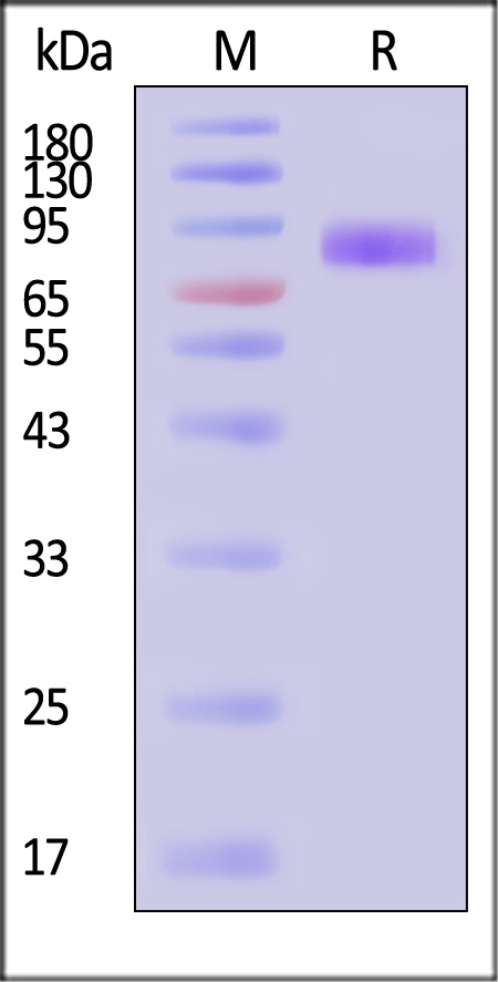 UPR-M5253-sds