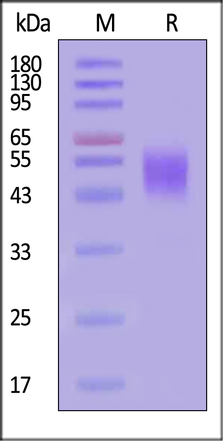 UPR-R52H3-sds