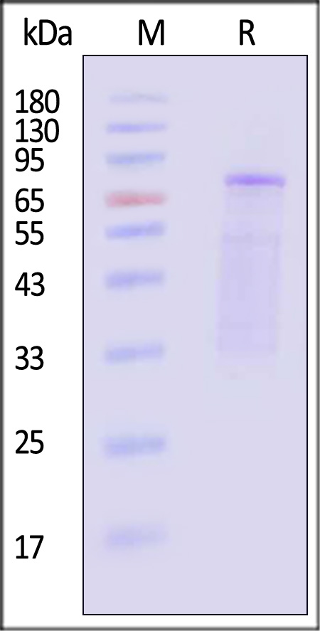 VP2-A5143-sds