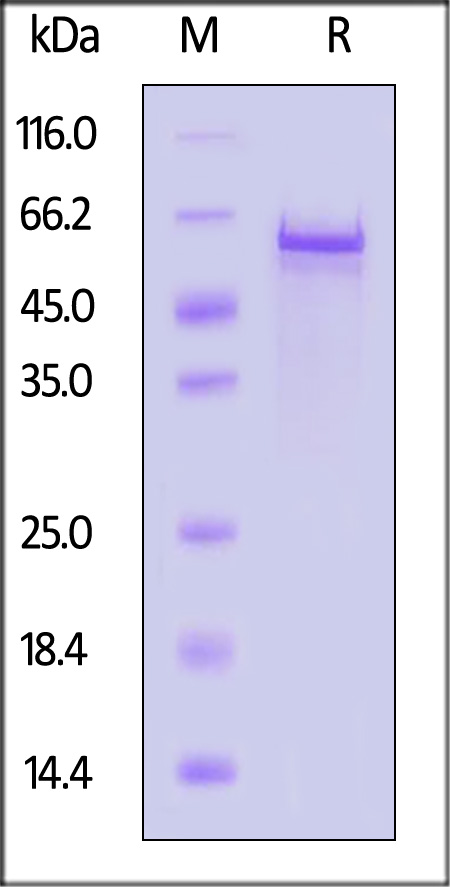 VP3-A5145-sds