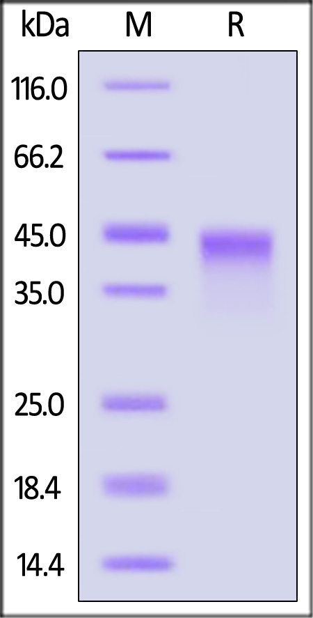 VS4-H5226-sds