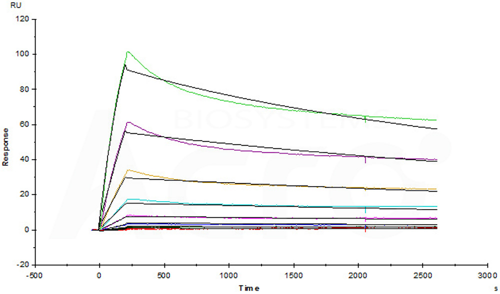  Bevacizumab SPR