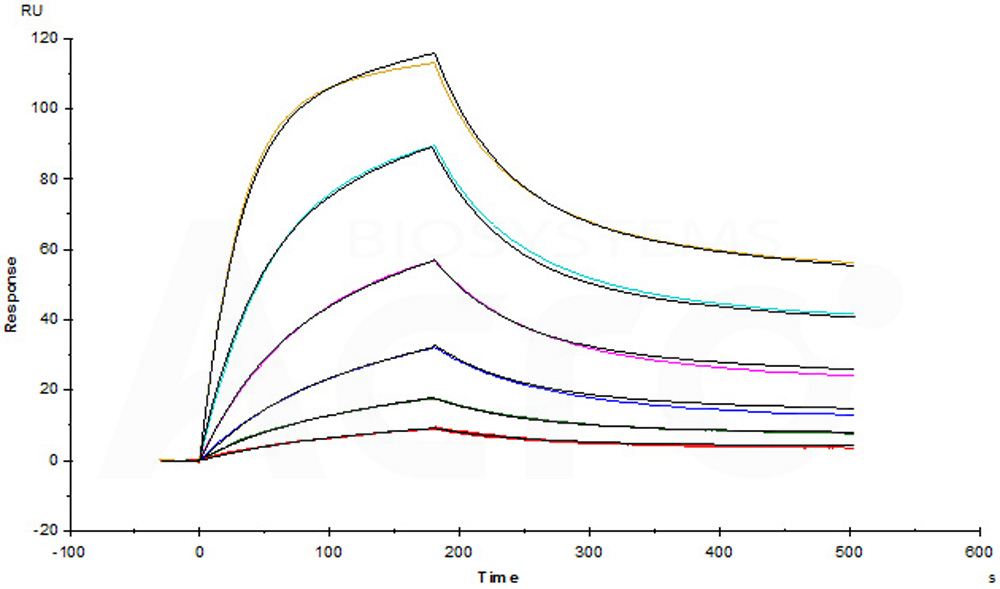  CD47 SPR