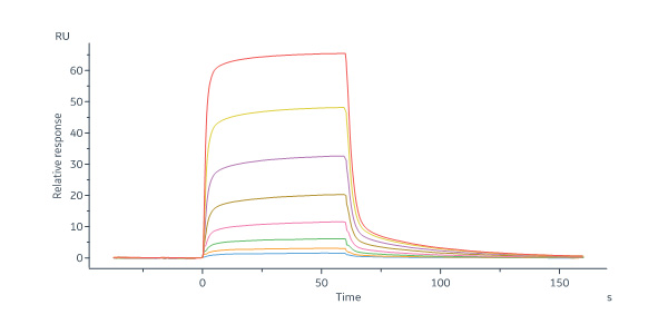  CD47 SPR