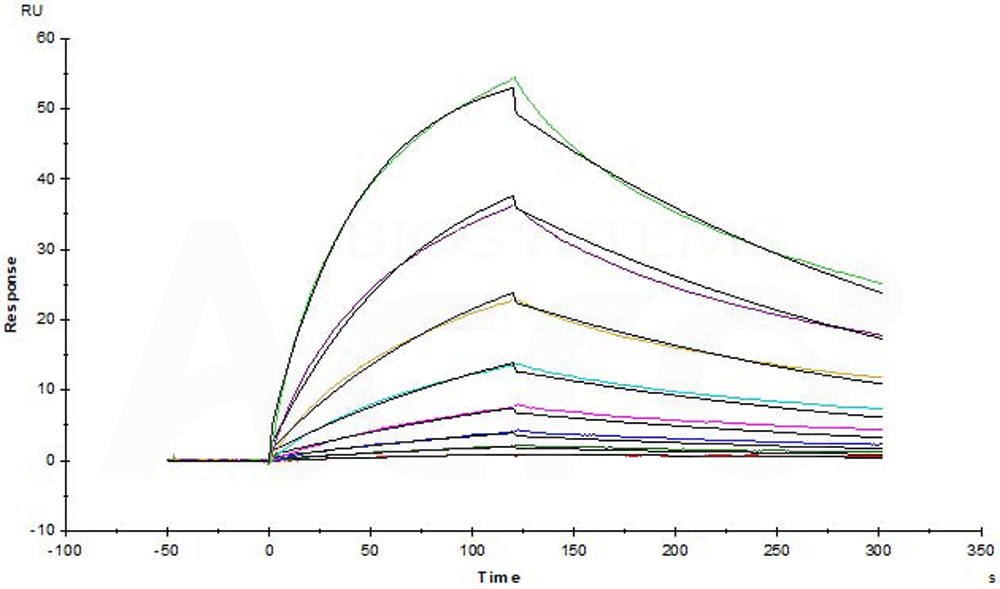  CD3E & CD3D SPR