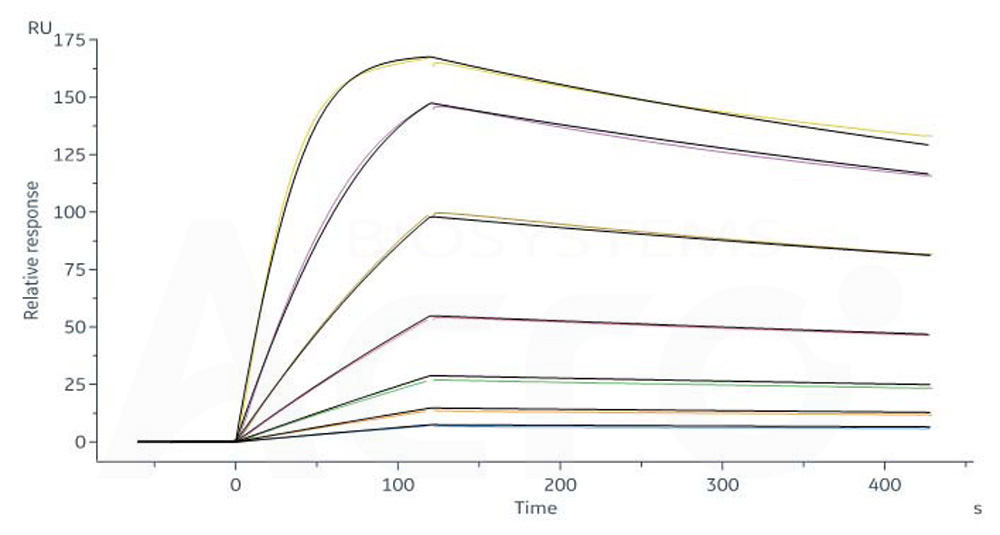  CD3E & CD3D SPR