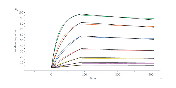  CD3 epsilon SPR