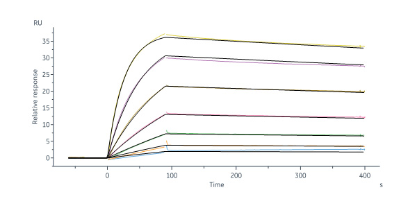  CD3 epsilon SPR