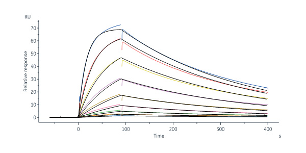  CD3E & CD3G SPR