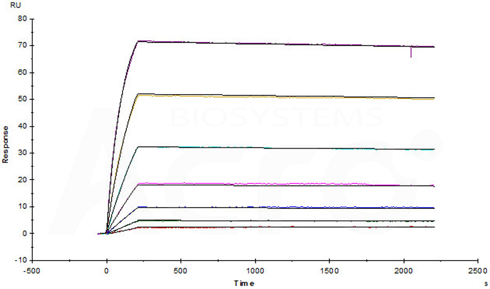  Cetuximab SPR