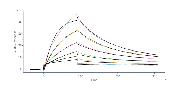  Clusterin SPR