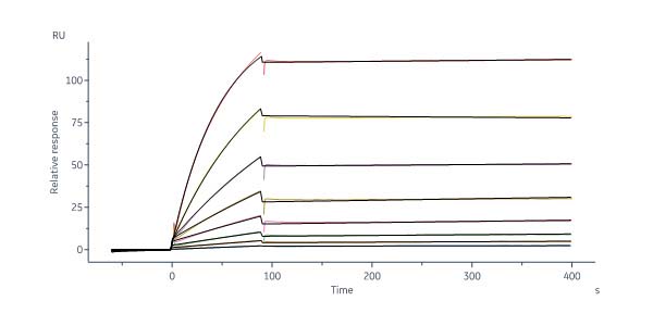  Hemagglutinin (HA) SPR