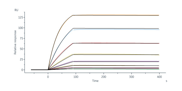  Hemagglutinin (HA) SPR