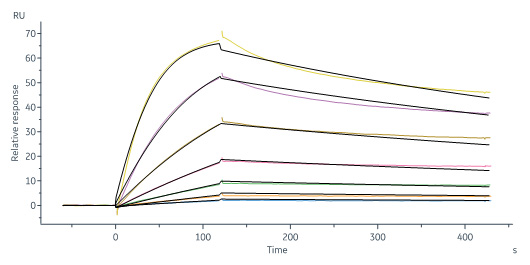  IFN-gamma SPR