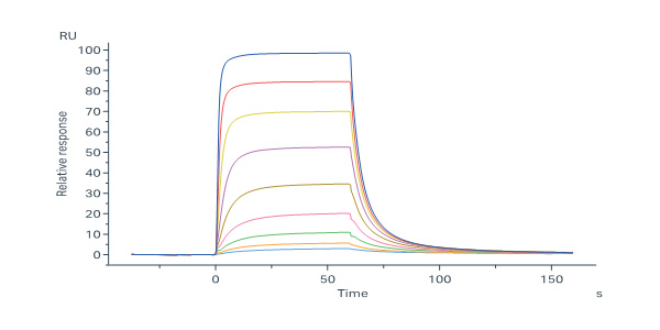  Insulin R SPR